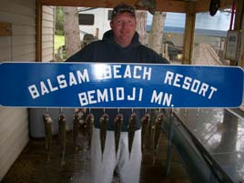 Walleye and Perch caught on Lake Plantagenet at Balsam Beach Resort in Bemidji, MN.